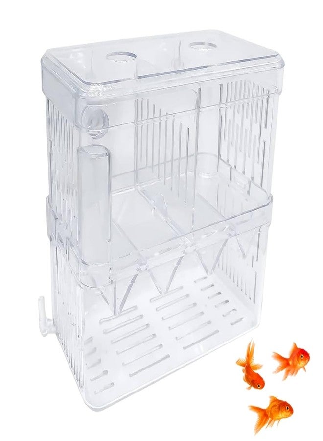 Western Era Fish Isolation Chamber Offers a Secure and efficient Method for segregating Fish Within Aquarium. Its Adaptable Design Allows for Customized use, Serving as an Aquarium Isolation Chamber. - Image 1